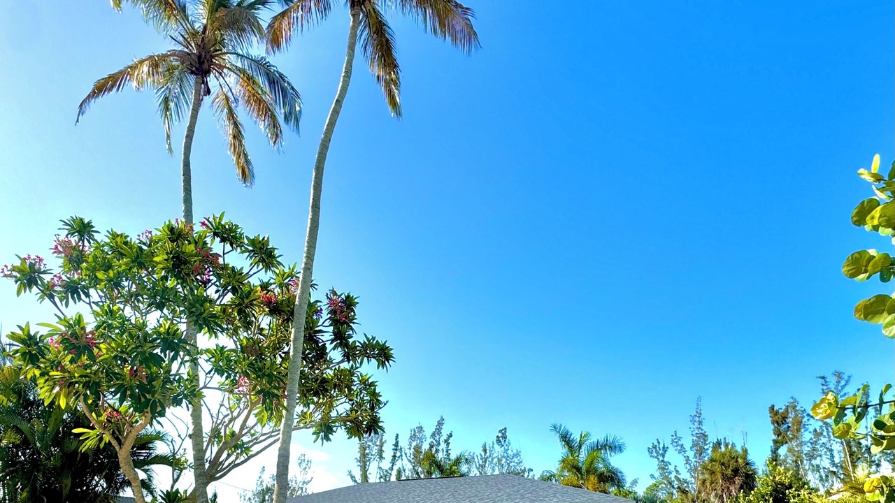 Photo of Outdoor in Pine Island Center