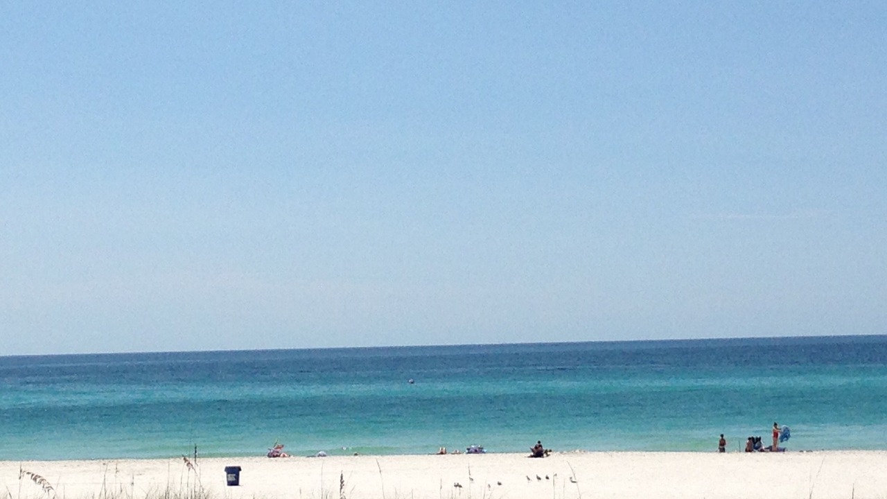 Photo of Others in Upper Grand Lagoon