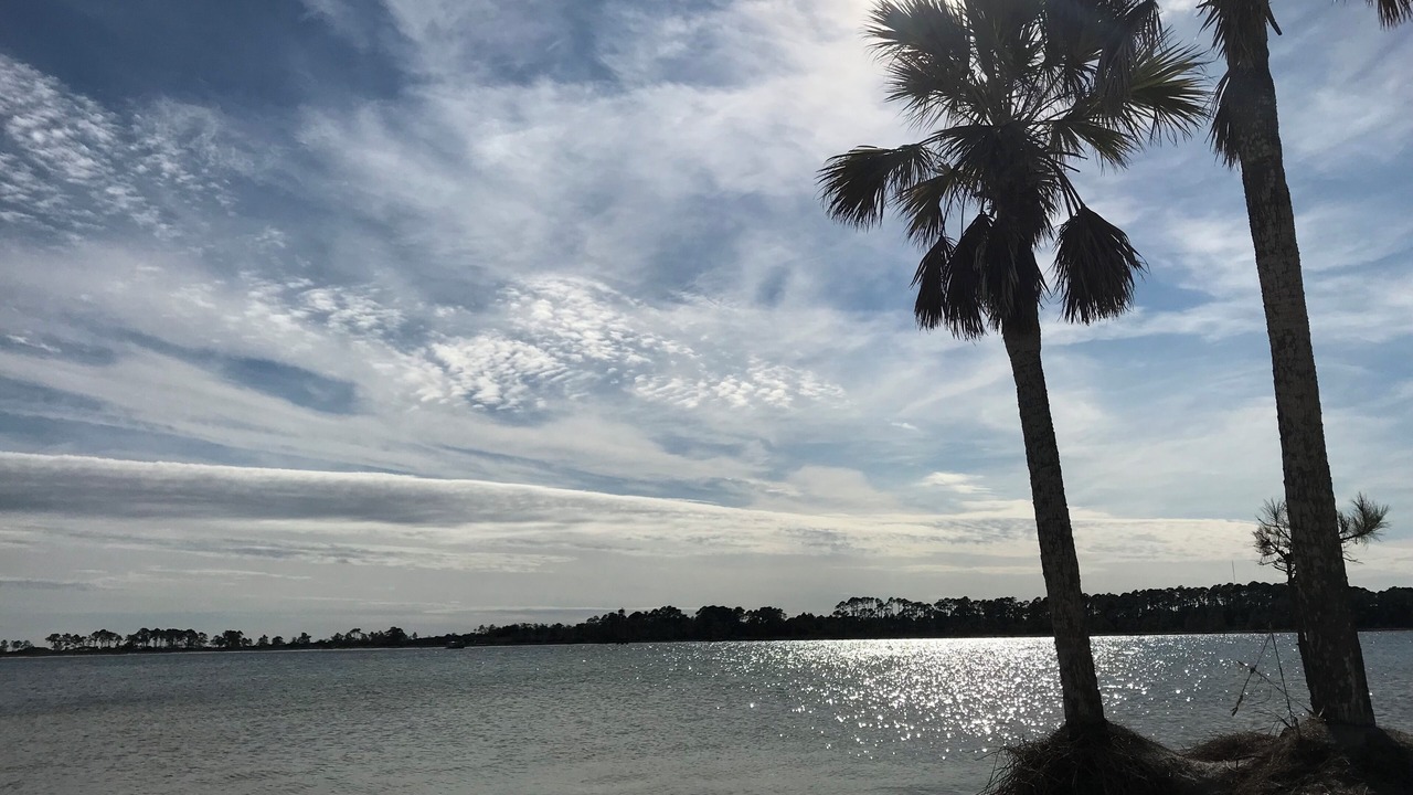 Photo of Others in Upper Grand Lagoon
