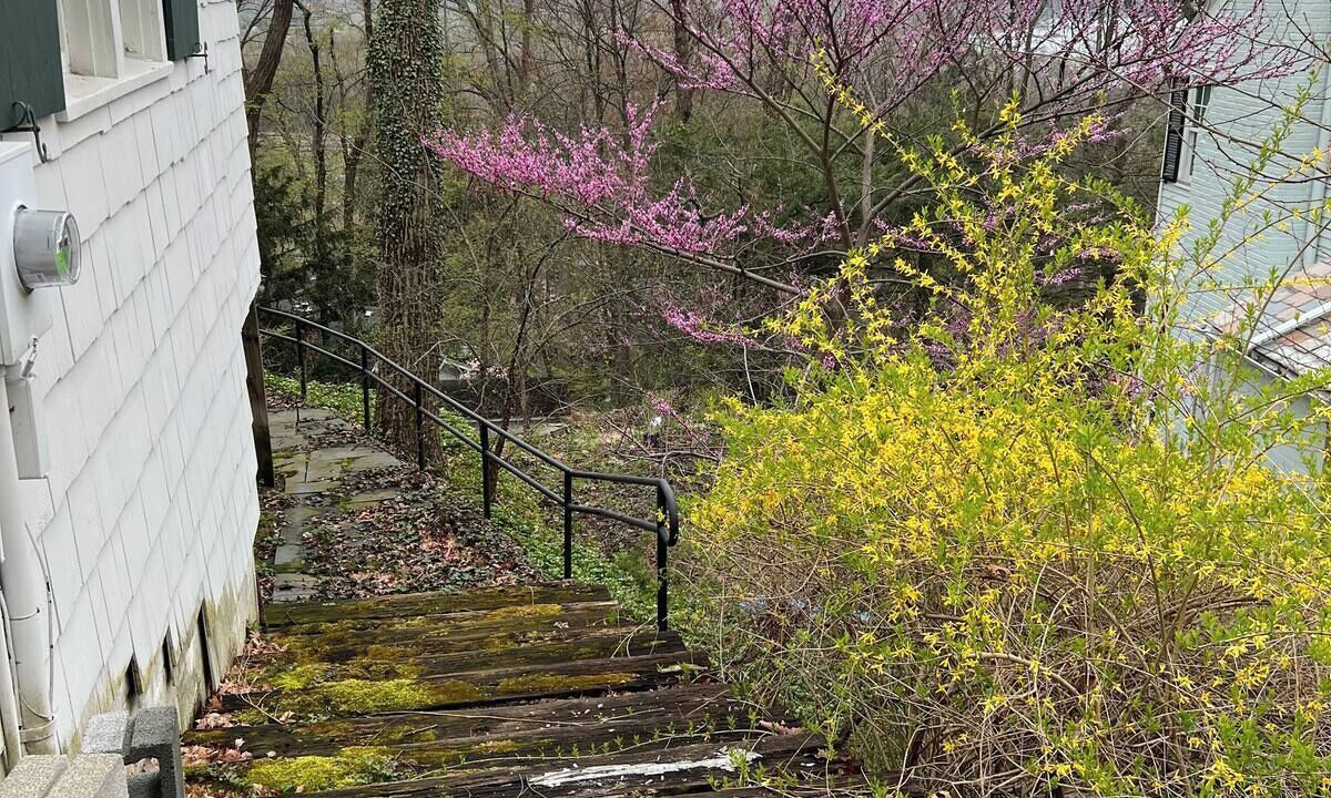 Photo of Outdoor in Cayuga Heights