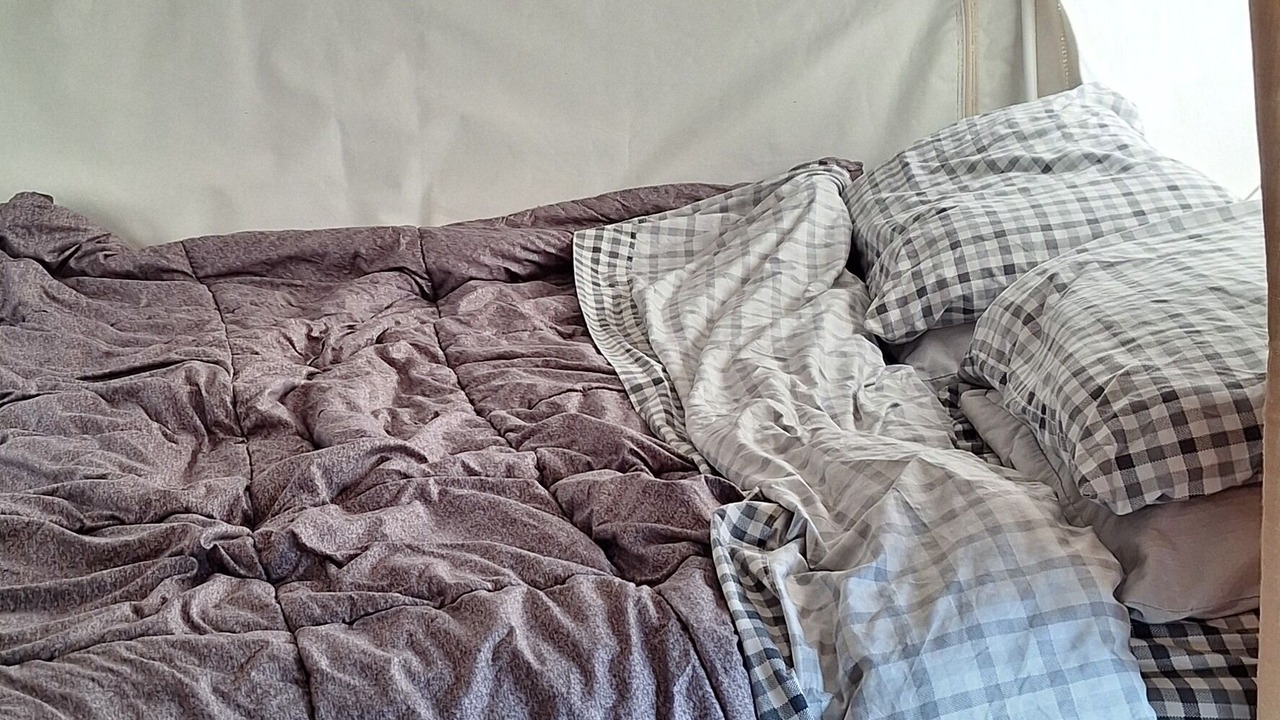 Photo of Bedroom in Forestville