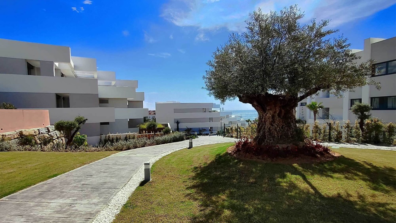 Photo of Outdoor in Alcorrin
