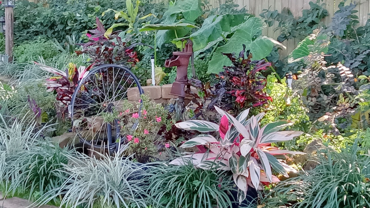 Photo of Outdoor in Floral City