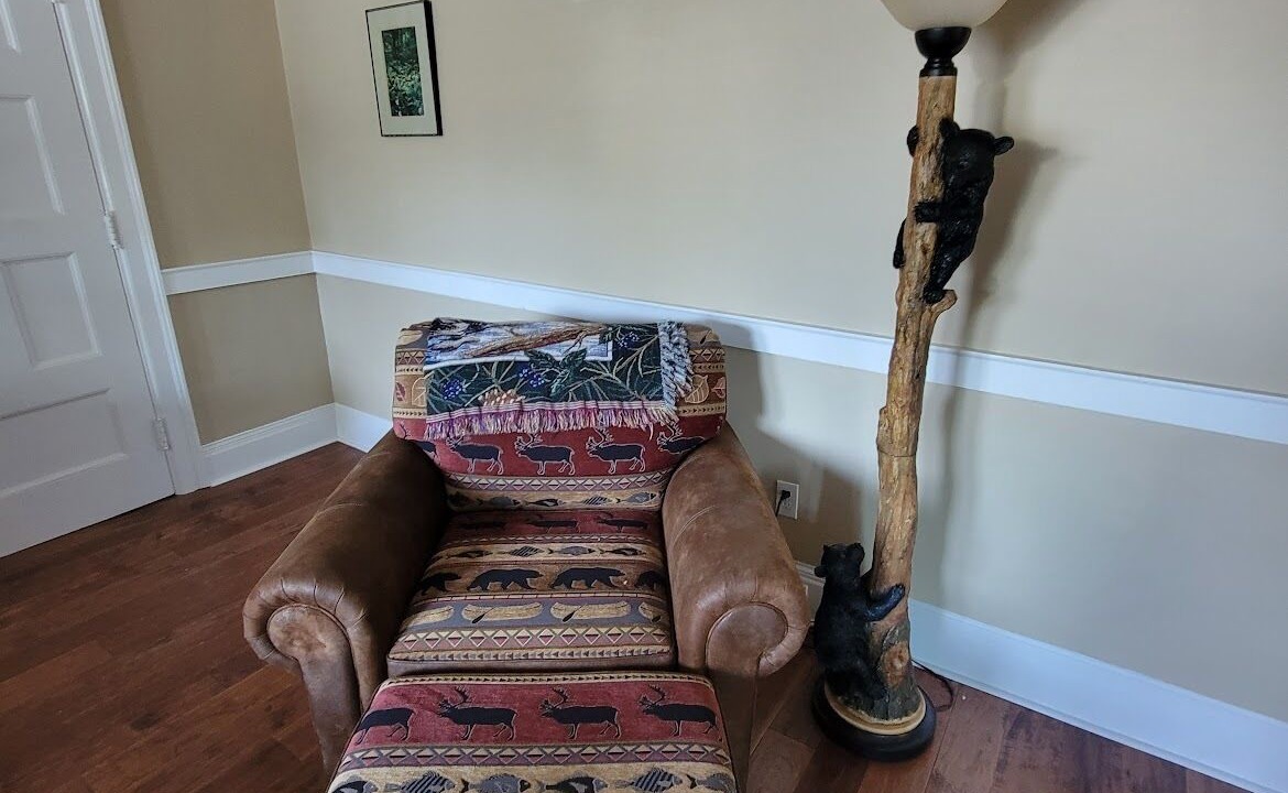 Photo of Livingroom in South Kortright