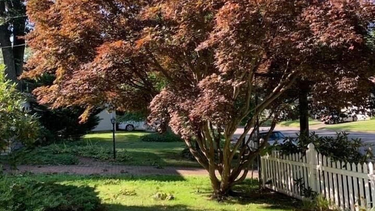 Photo of Outdoor in Huntington