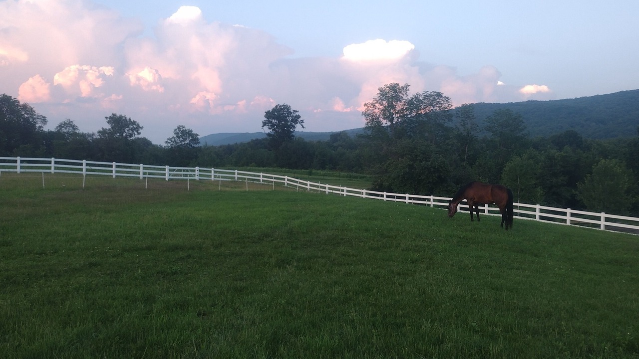Photo of Outdoor in Roseboom