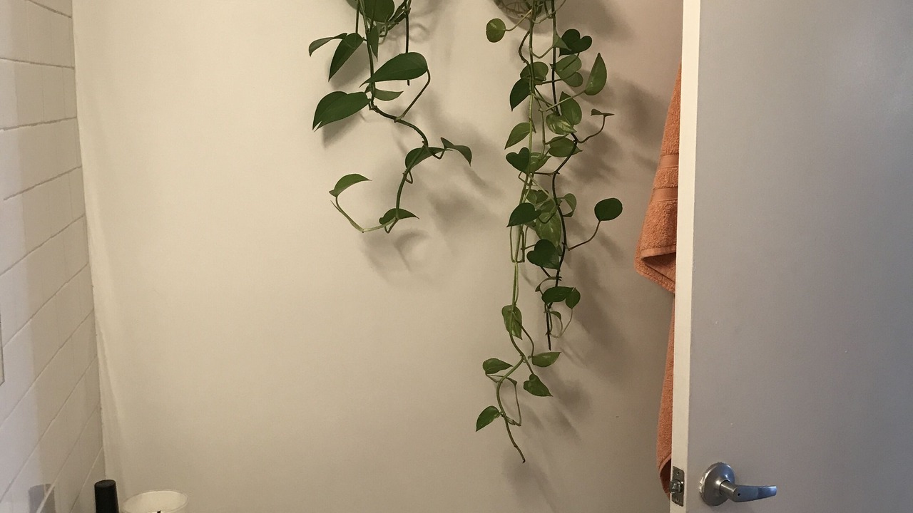 Photo of Bathroom in Bedford-Stuyvesant