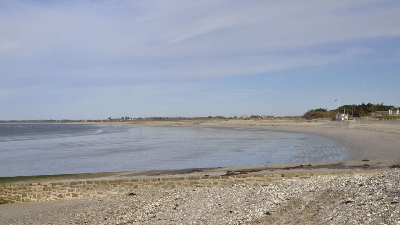 Photo of Others in Penvins