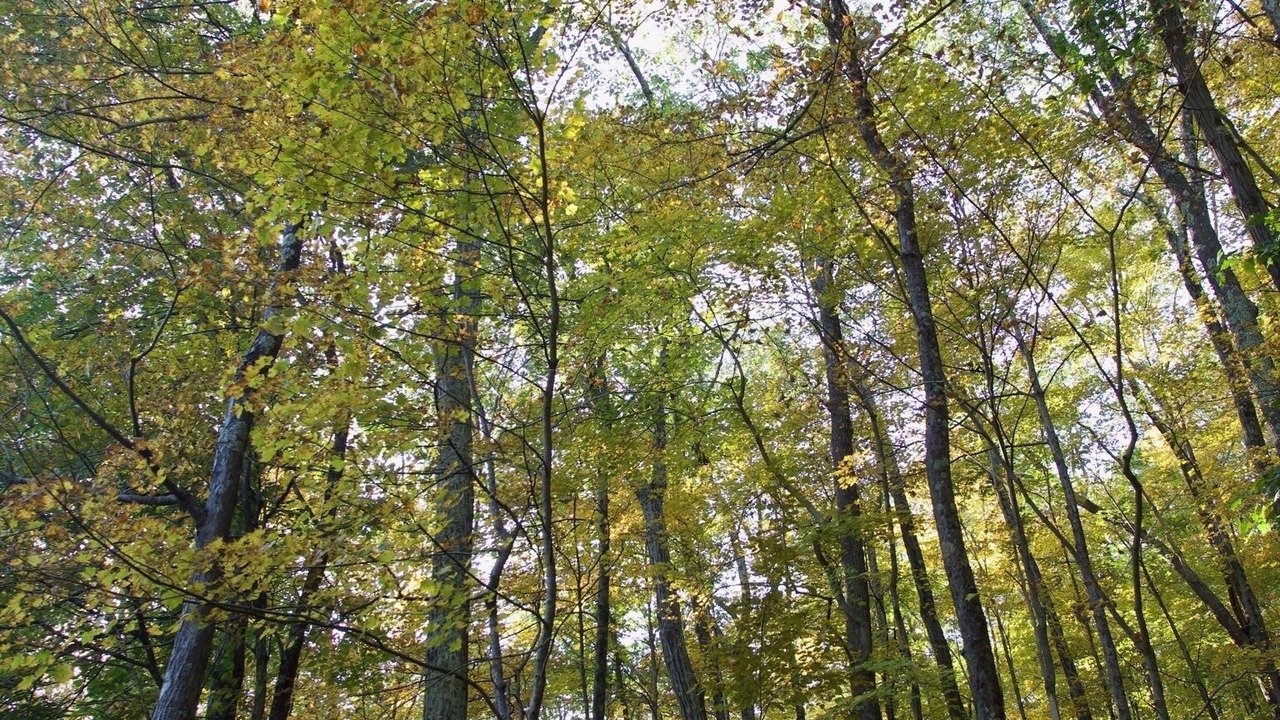 Photo of Outdoor in New Paltz