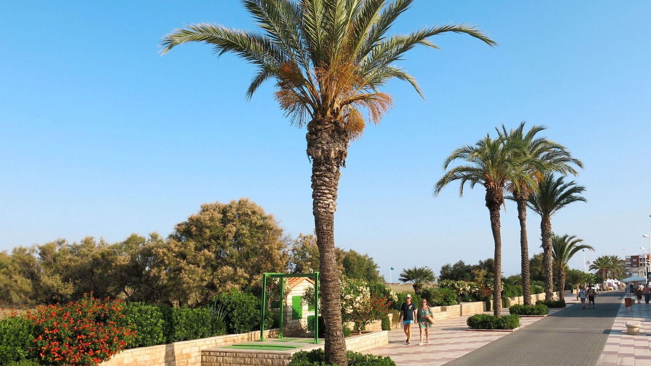 Photo of Others in Benimaclet