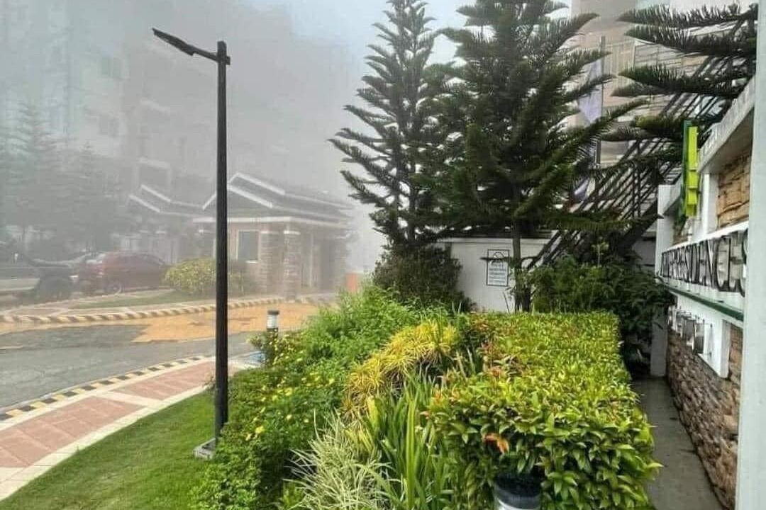 Photo of Outdoor in Tuba