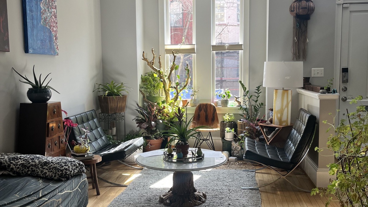 Photo of Livingroom in Cardozo