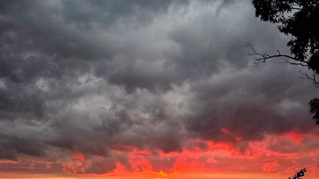 Photo of Outdoor in Town of Varick