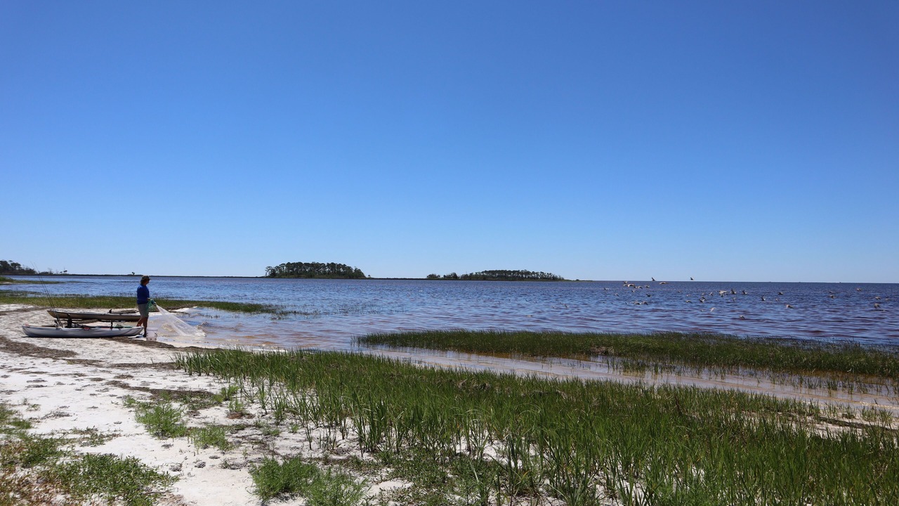 Photo of Others in Keaton Beach