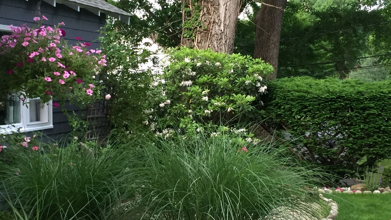 Photo of Outdoor in Westport