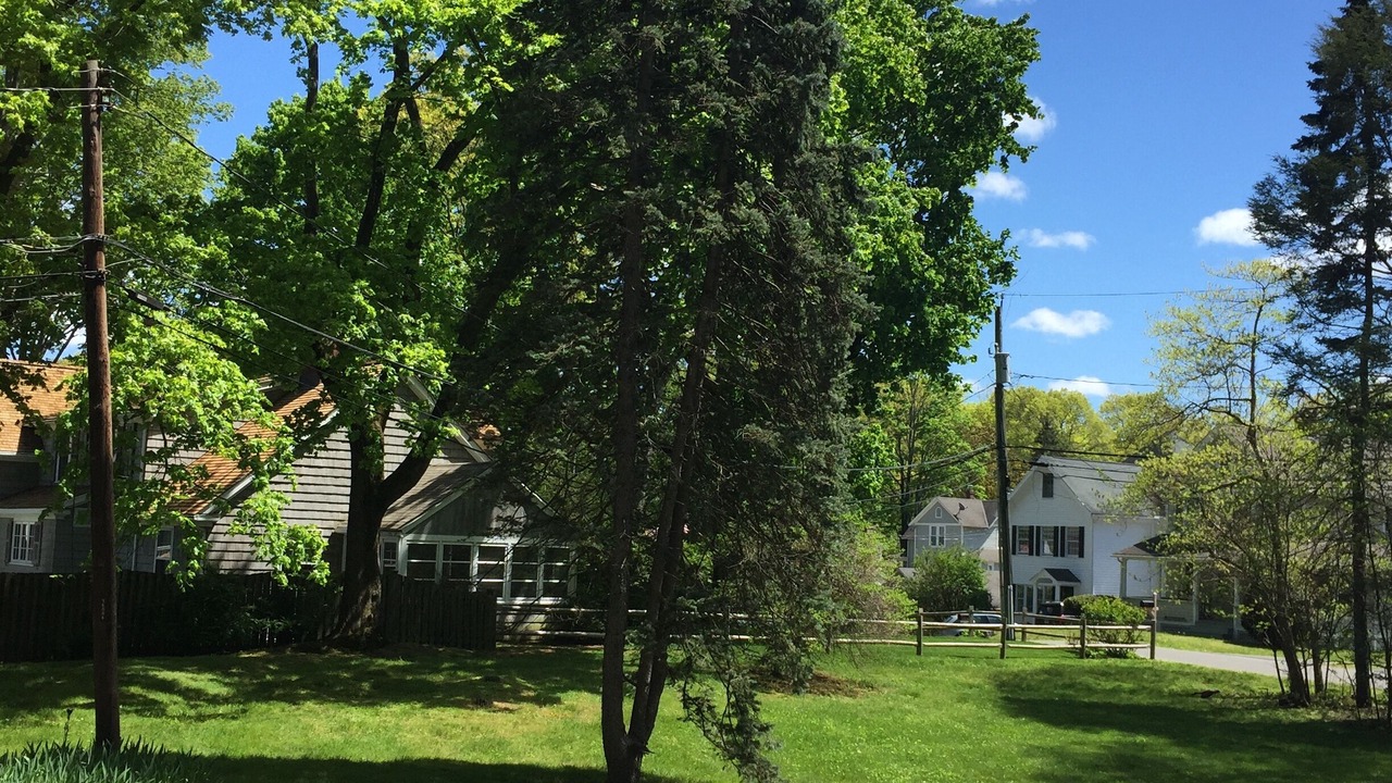 Photo of Outdoor in Westport