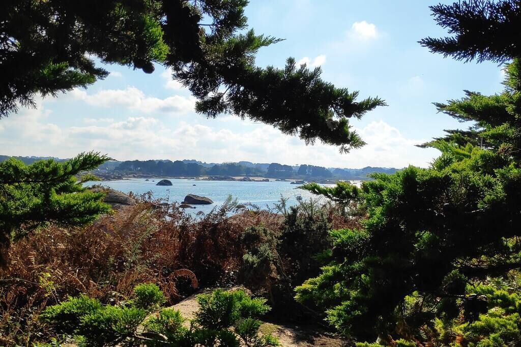 Photo of Others in Lannion