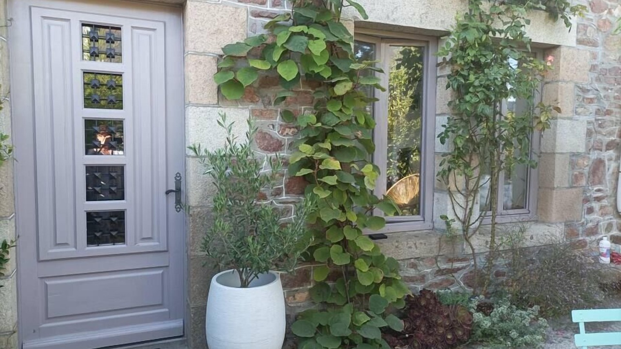 Photo of Outdoor in Loguivy