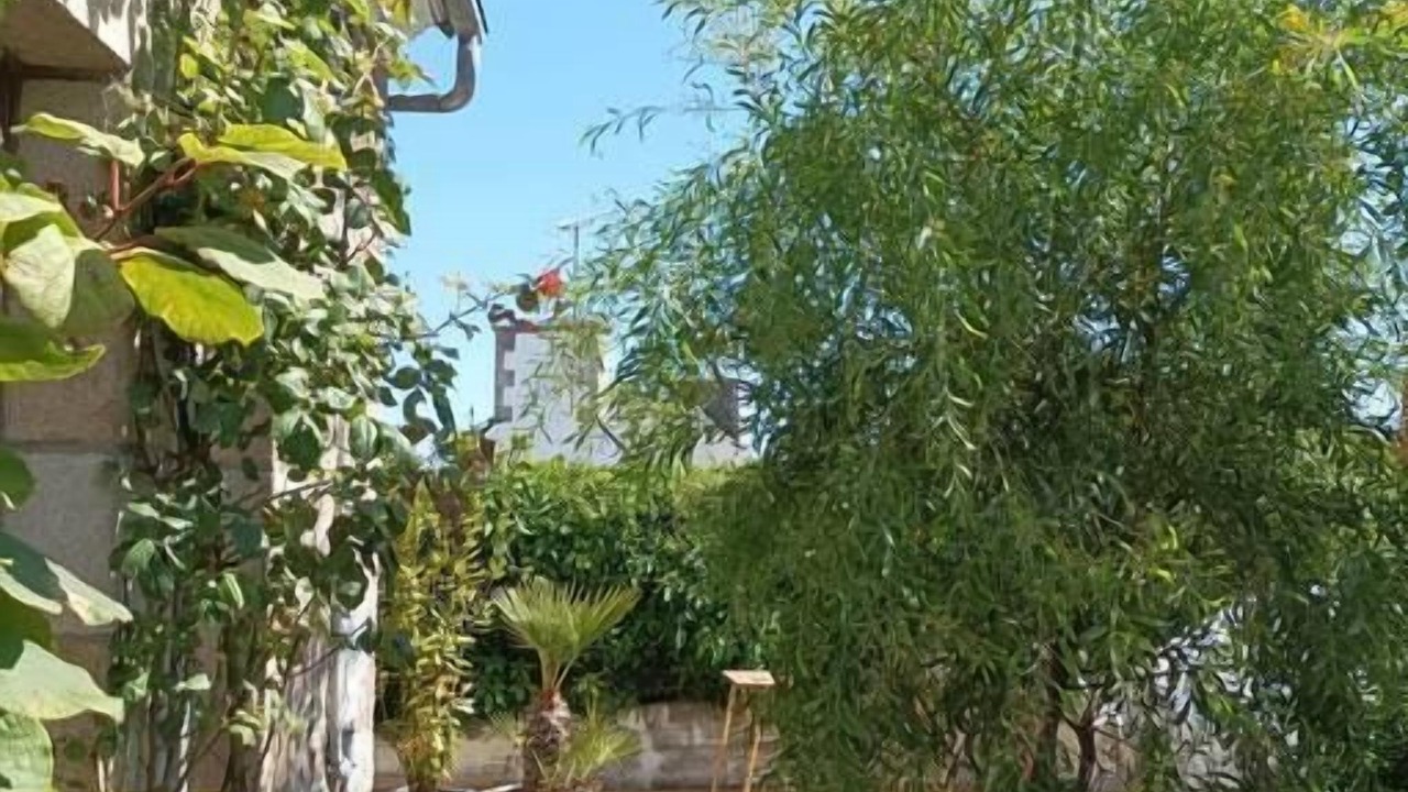 Photo of Outdoor in Loguivy