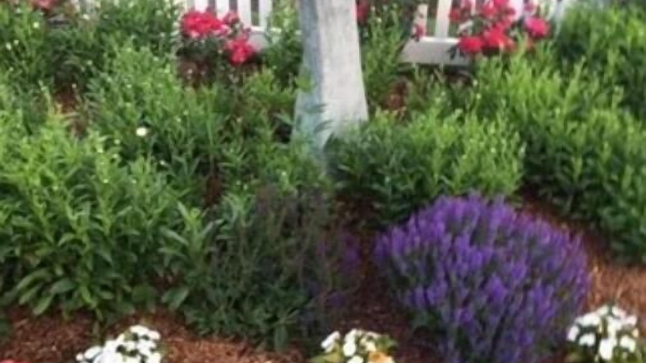 Photo of Outdoor in Dennis
