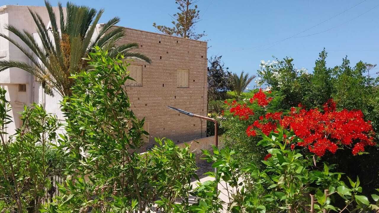 Photo of Outdoor in Al-Hammam