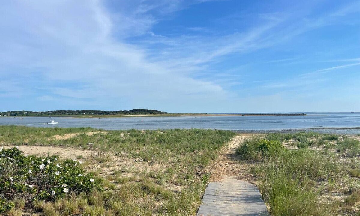 Photo of Others in Wellfleet