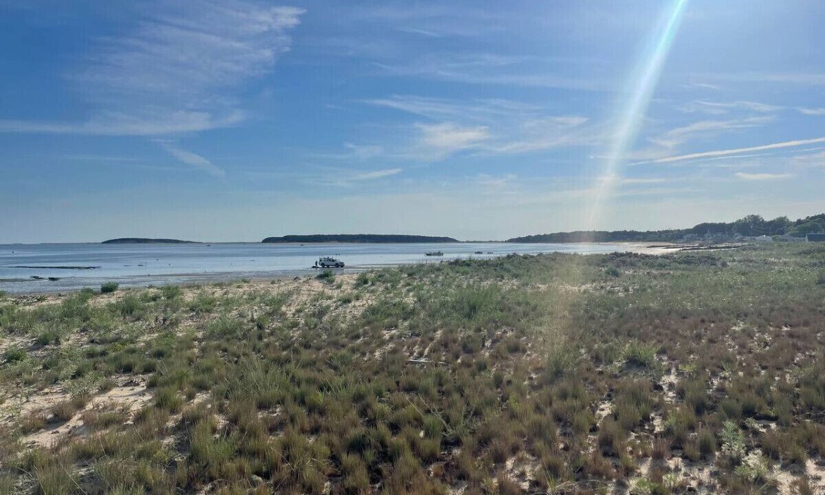 Photo of Others in Wellfleet