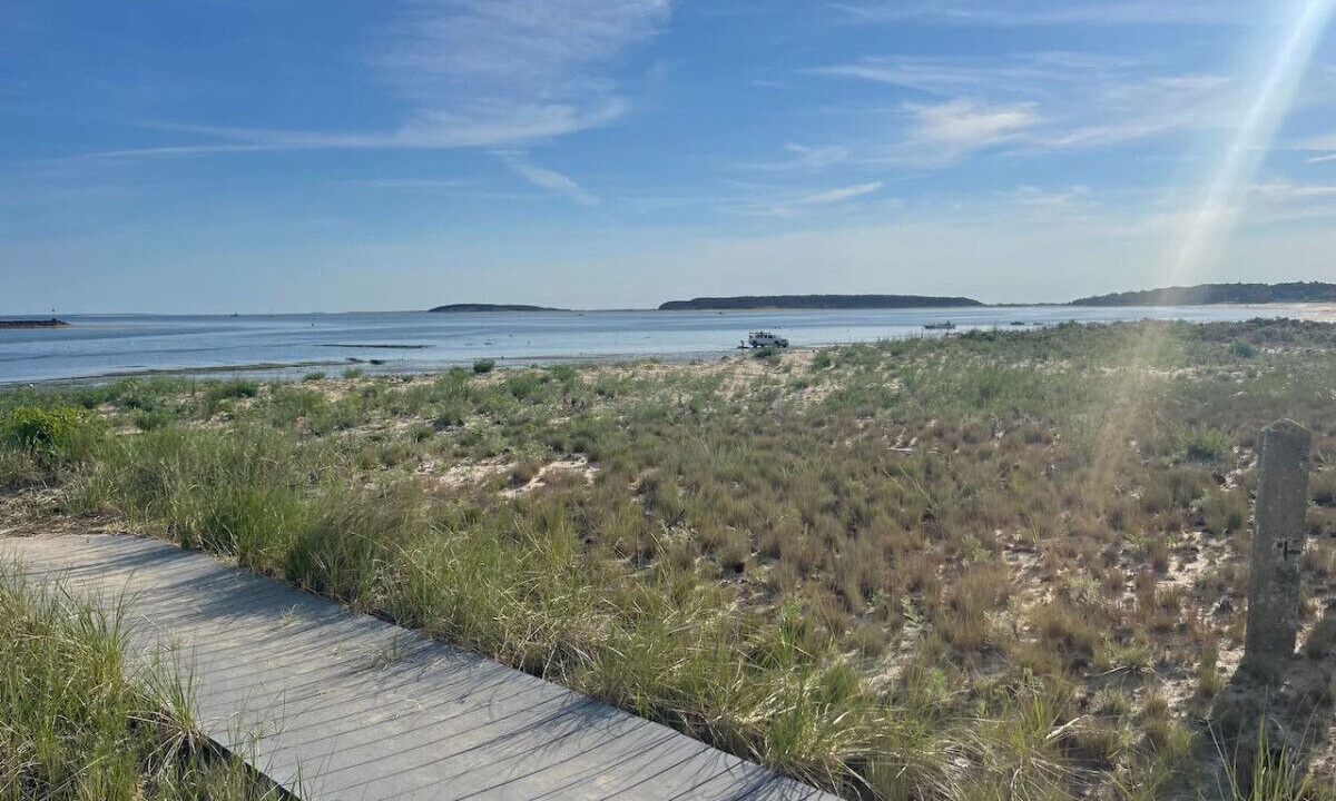 Photo of Others in Wellfleet