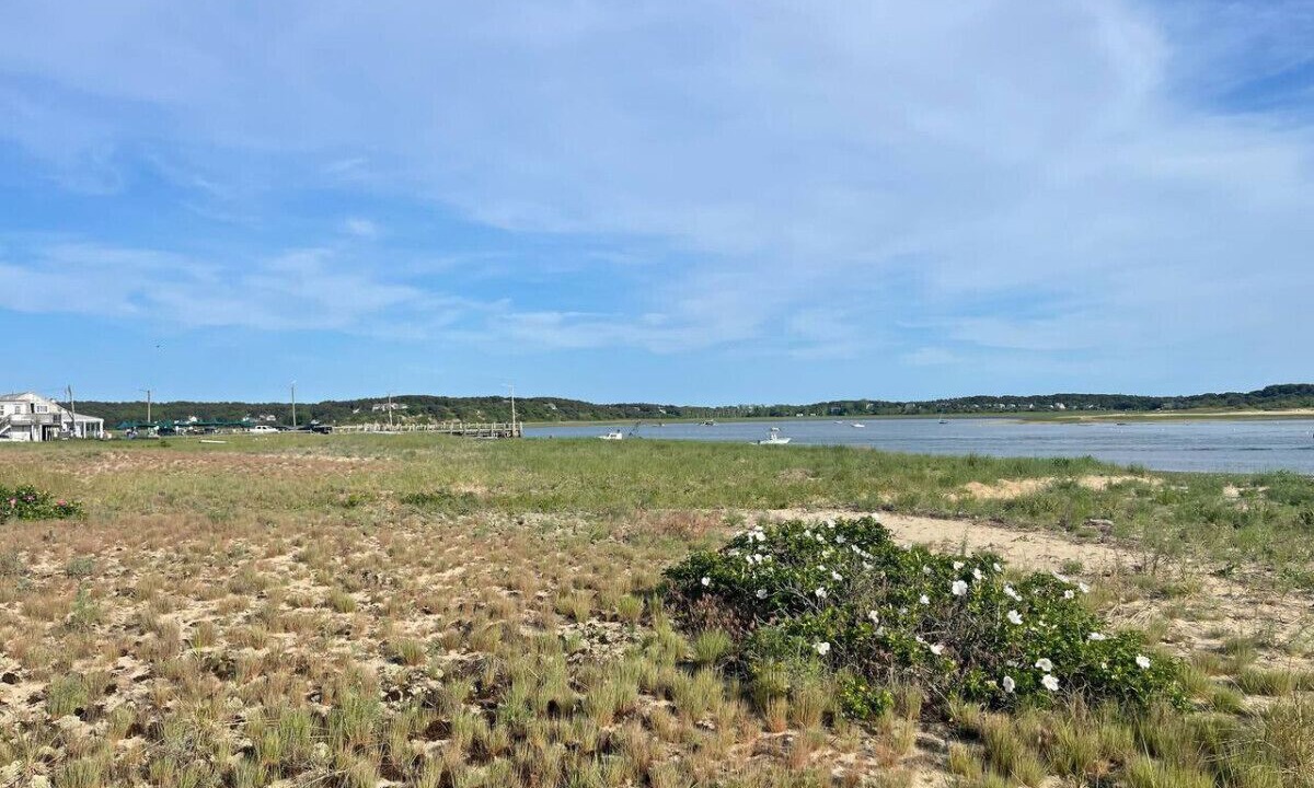 Photo of Others in Wellfleet