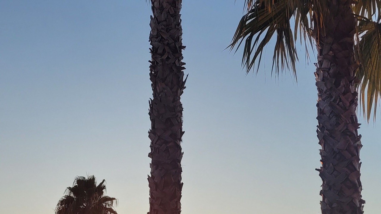 Photo of Outdoor in Orba