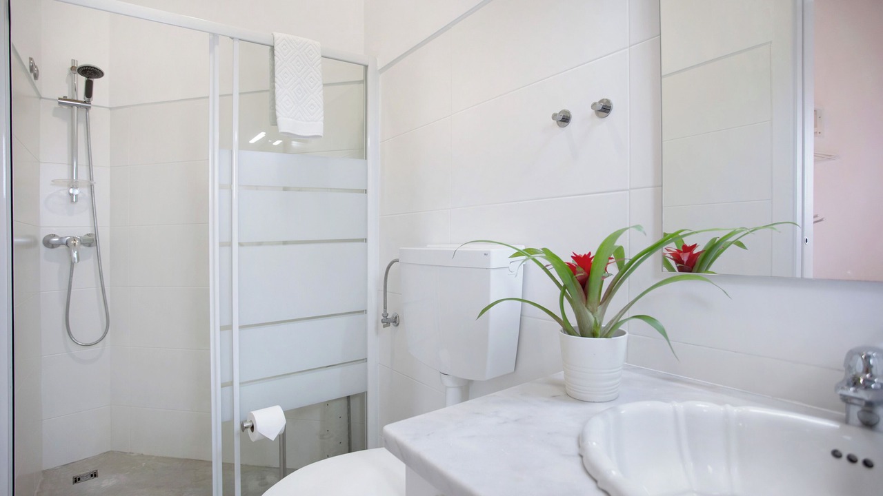 Photo of Bathroom in Banzao