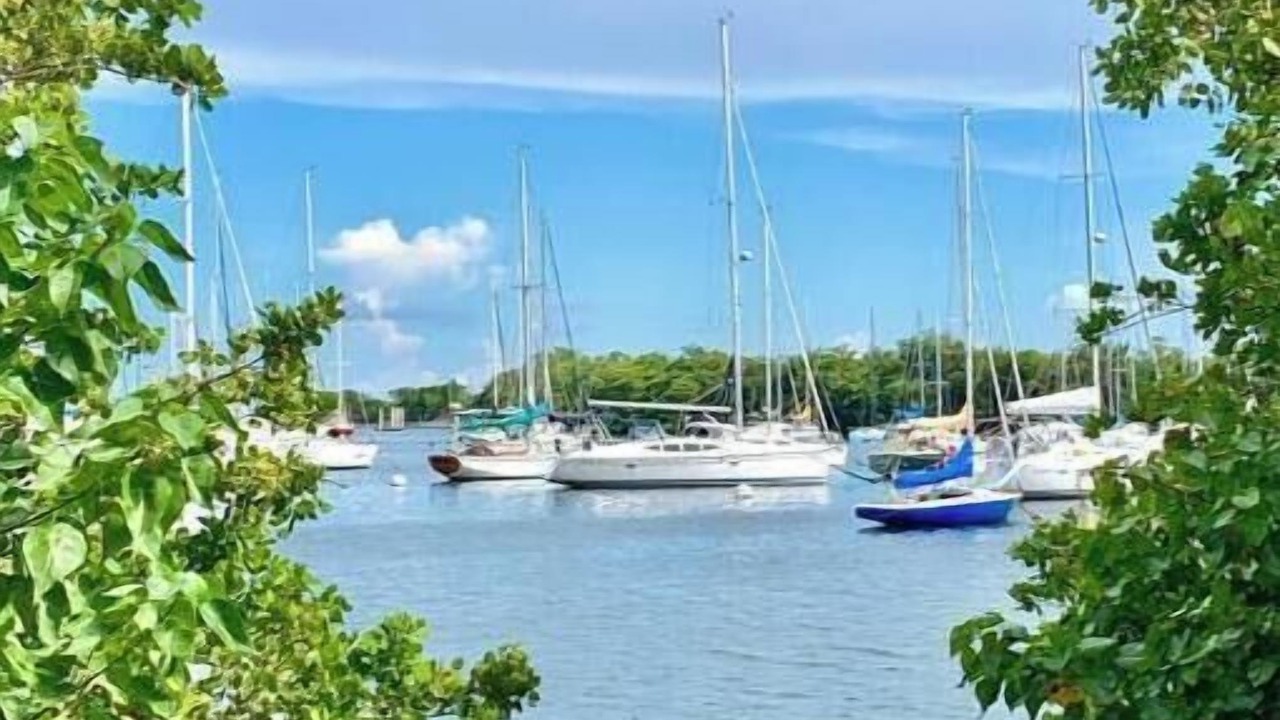 Photo of Others in Coconut Grove