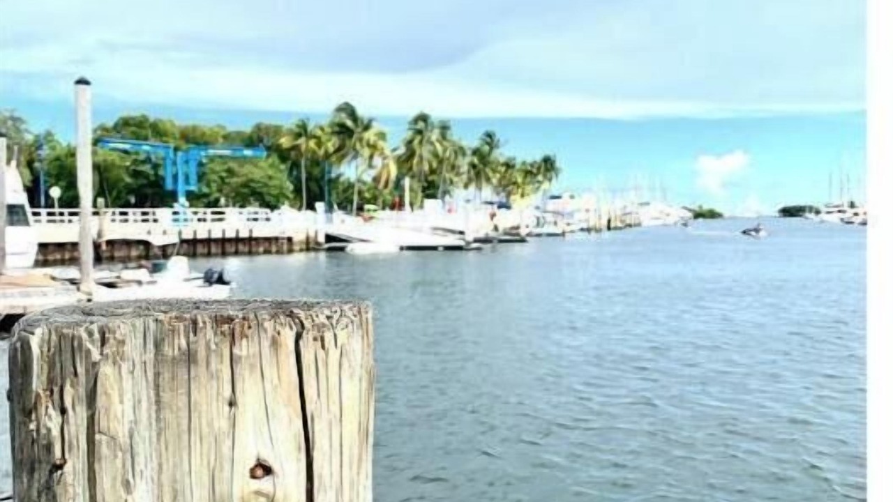 Photo of Others in Coconut Grove