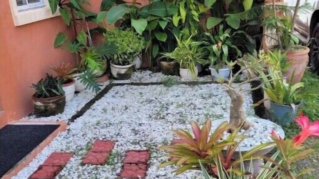 Photo of Outdoor in Urdaneta City
