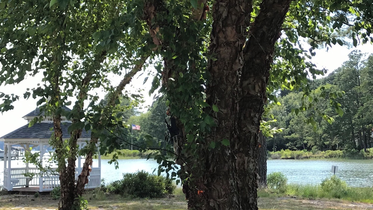 Photo of Outdoor in Mathews