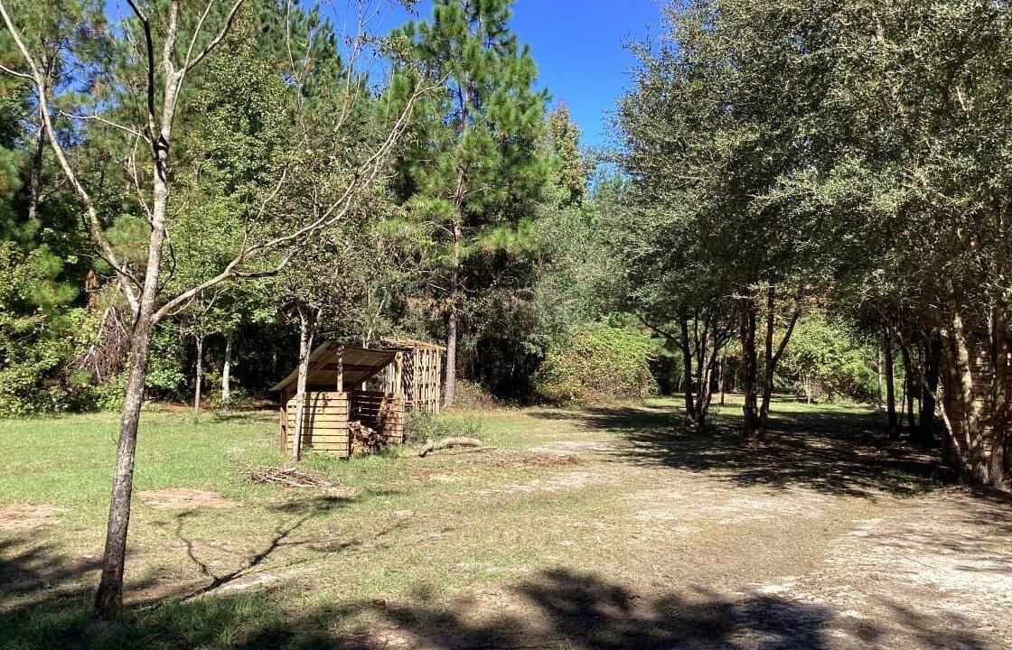 Photo of Outdoor in Tallahassee