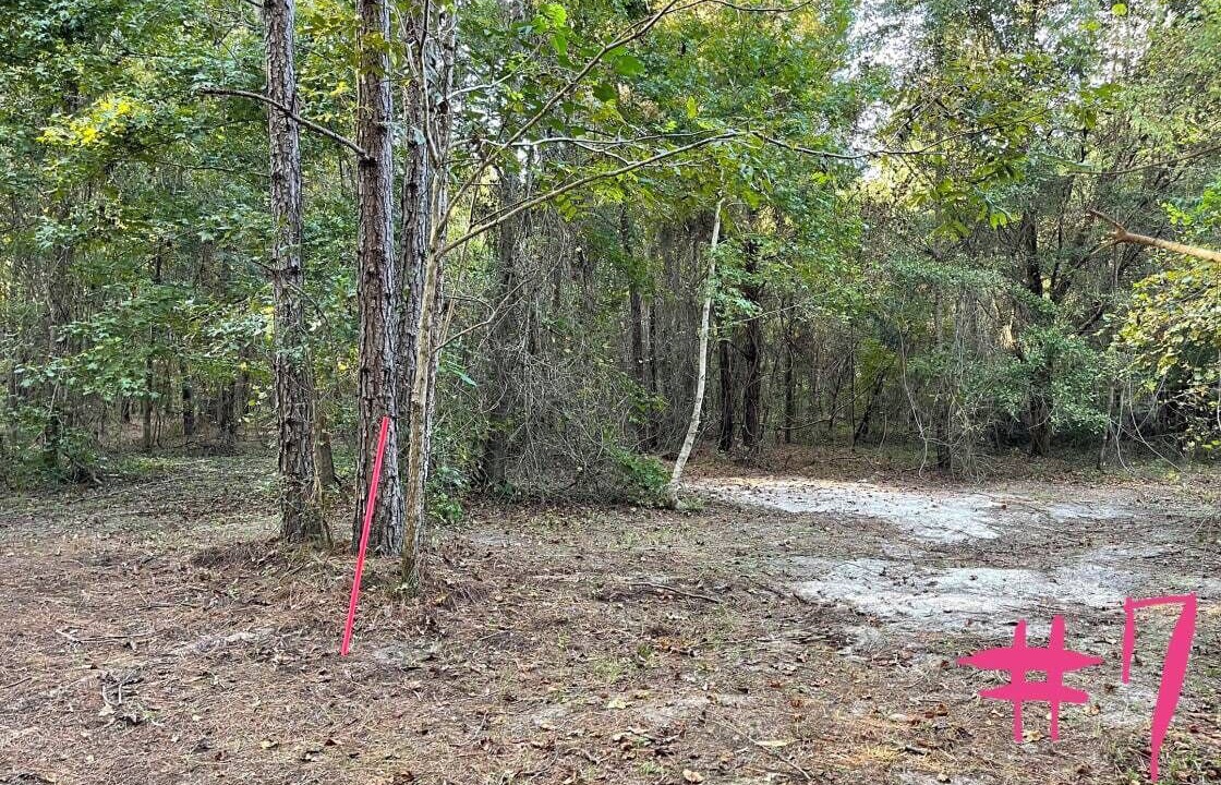Photo of Outdoor in Tallahassee