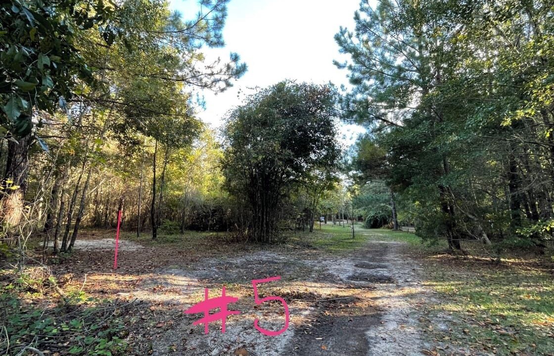 Photo of Outdoor in Tallahassee