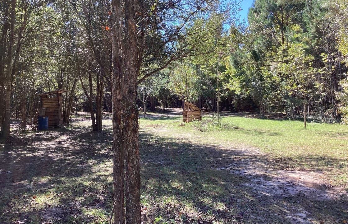 Photo of Outdoor in Tallahassee
