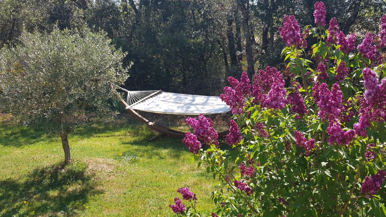 Photo of Outdoor in Croagnes