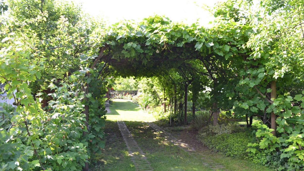 Photo of Outdoor in Gardony