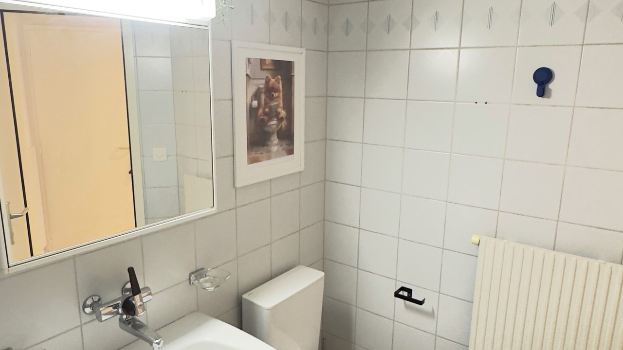 Photo of Bathroom in Delemont