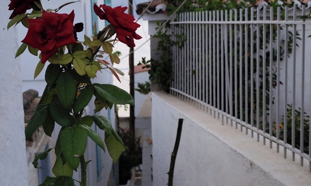 Photo of Outdoor in idhra