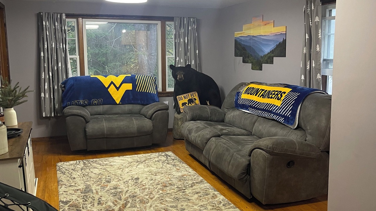 Photo of Livingroom in Bluefield