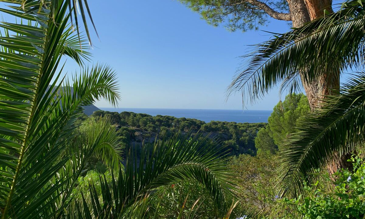 Photo of Others in Cassis