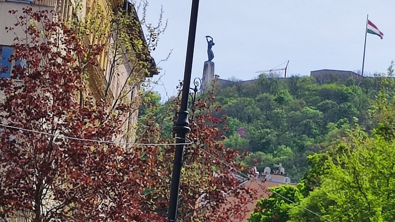 Photo of Others in Castle Hill