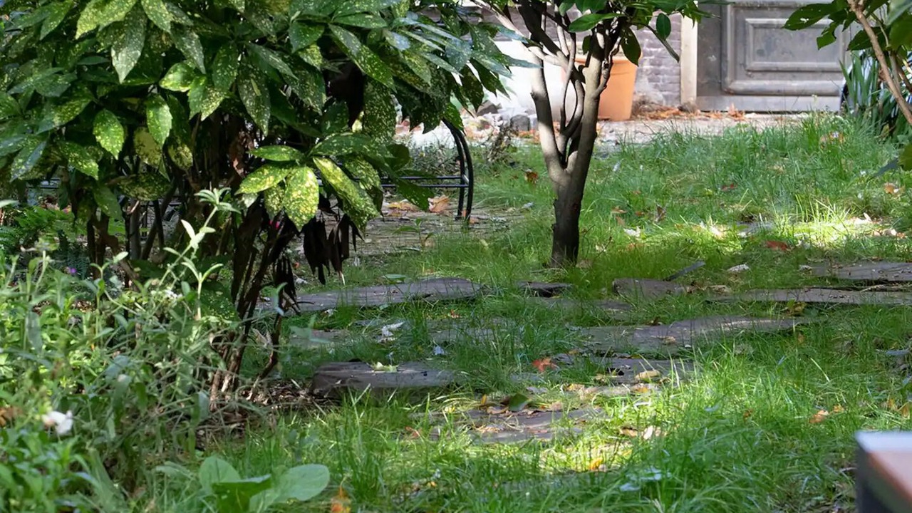 Photo of Outdoor in Grachtengordel-Zuid