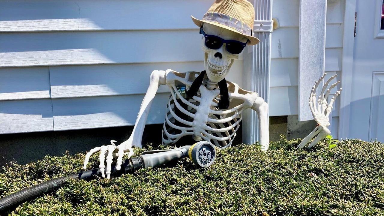 Photo of Outdoor in Salem