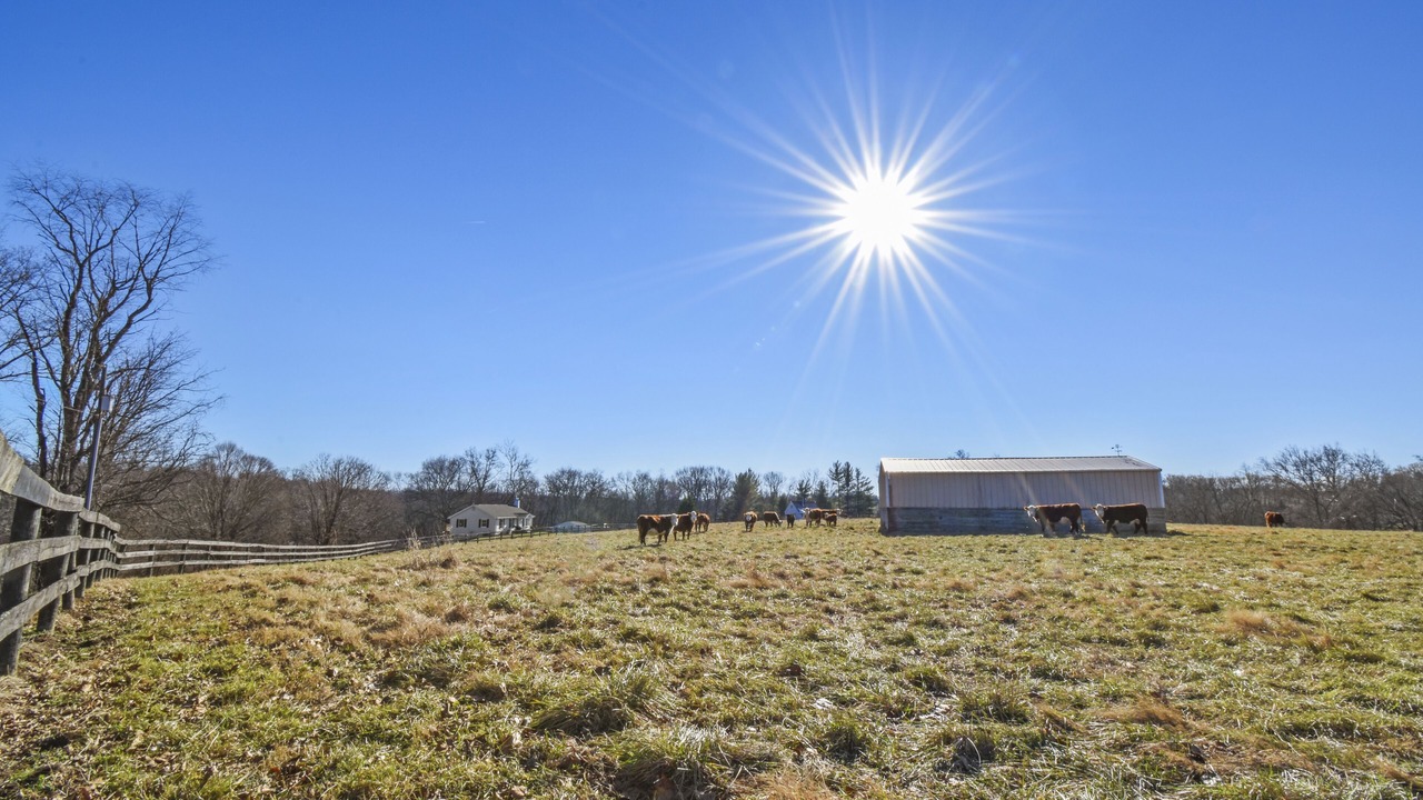 Photo of Outdoor in Blue Ridge