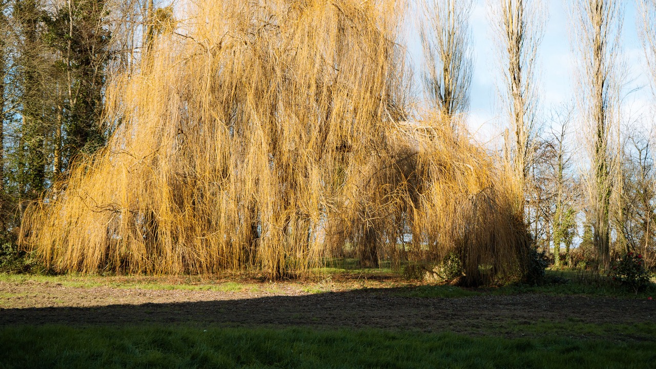Photo of Outdoor in Saint-Jouan-des-Guerets